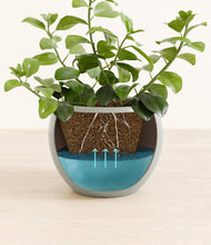 Load image into Gallery viewer, Deep Ocean