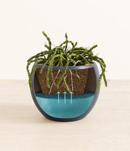 Load image into Gallery viewer, Deep Navy