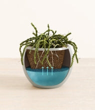 Load image into Gallery viewer, Deep Ocean