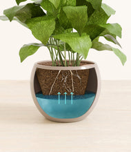 Load image into Gallery viewer, Desert Brown