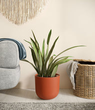 Load image into Gallery viewer, Earth Red