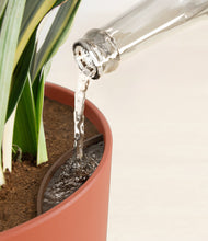 Load image into Gallery viewer, Earth Red stand:all