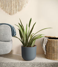 Load image into Gallery viewer, Iron Gray