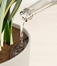 Load image into Gallery viewer, Natural Bamboo stand:all