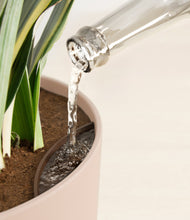 Load image into Gallery viewer, Sandy Pink stand:all