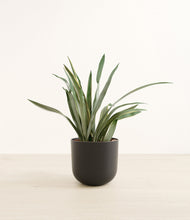 Load image into Gallery viewer, Stone Black*****Profile