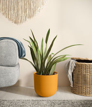 Load image into Gallery viewer, Sunset Orange