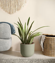 Load image into Gallery viewer, Sage Green