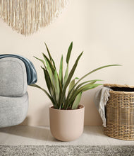 Load image into Gallery viewer, Sandy Pink