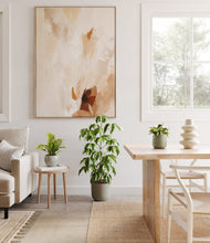 Load image into Gallery viewer, Earthy