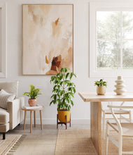 Load image into Gallery viewer, Evening Sky stand:one_stand