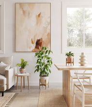 Load image into Gallery viewer, Sandy stand:two_stands