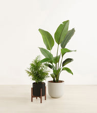 Load image into Gallery viewer, Orca stand:one_stand