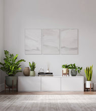 Load image into Gallery viewer, Enlightened Oasis