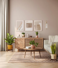 Load image into Gallery viewer, Enlightened Oasis