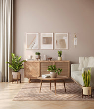 Load image into Gallery viewer, Enlightened Oasis