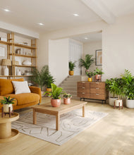 Load image into Gallery viewer, Evening Sky stand:five_stands