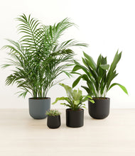 Load image into Gallery viewer, Charcoal