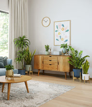 Load image into Gallery viewer, Earthy stand:five_stands