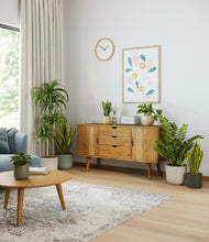 Load image into Gallery viewer, Woodland