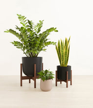 Load image into Gallery viewer, Charcoal stand:two_stands