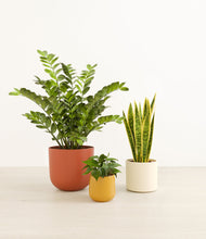 Load image into Gallery viewer, Evening Sky