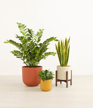 Load image into Gallery viewer, Evening sky stand:one_stand