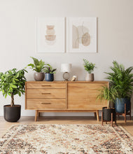 Load image into Gallery viewer, Charcoal stand:two_stands