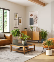 Load image into Gallery viewer, Earthy