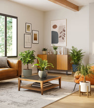 Load image into Gallery viewer, Earthy stand:two_stands