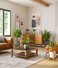 Load image into Gallery viewer, Earthy stand:four_stands