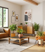 Load image into Gallery viewer, Evening Sky stand:two_stands