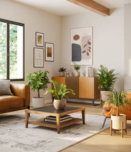 Load image into Gallery viewer, Sandy stand:two_stands