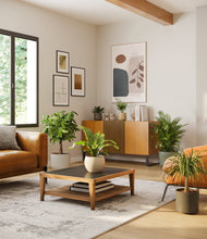 Load image into Gallery viewer, Woodland