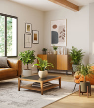 Load image into Gallery viewer, Woodland stand:two_stands