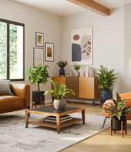 Load image into Gallery viewer, Charcoal stand:four_stands