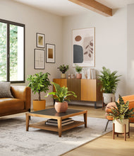 Load image into Gallery viewer, Evening Sky stand:two_stands