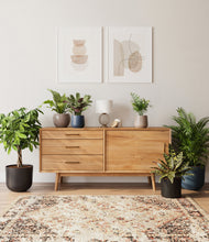 Load image into Gallery viewer, Charcoal