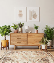 Load image into Gallery viewer, Evening Sky stand:four_stands