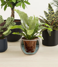 Load image into Gallery viewer, Charcoal stand:all