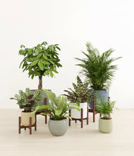 Load image into Gallery viewer, Earthy stand:four_stands