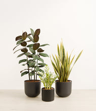 Load image into Gallery viewer, Charcoal