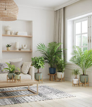 Load image into Gallery viewer, Earthy stand:six_stands