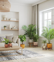 Load image into Gallery viewer, Evening Sky stand:four_stands