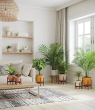 Load image into Gallery viewer, Evening Sky stand:six_stands