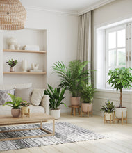 Load image into Gallery viewer, Sandy stand:four_stands