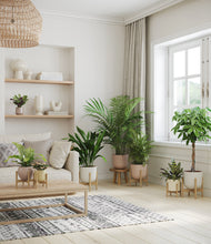 Load image into Gallery viewer, Sandy stand:six_stands