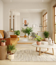 Load image into Gallery viewer, Evening Sky