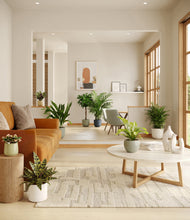 Load image into Gallery viewer, Earthy