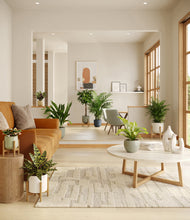 Load image into Gallery viewer, Earthy stand:four_stands